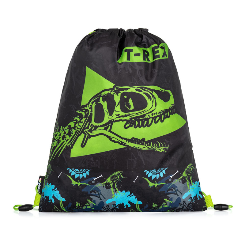 Karton P+P T rex 3-05822