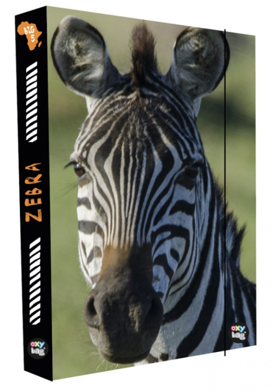 Karton P+P A4 Jumbo Zebra 8-76922