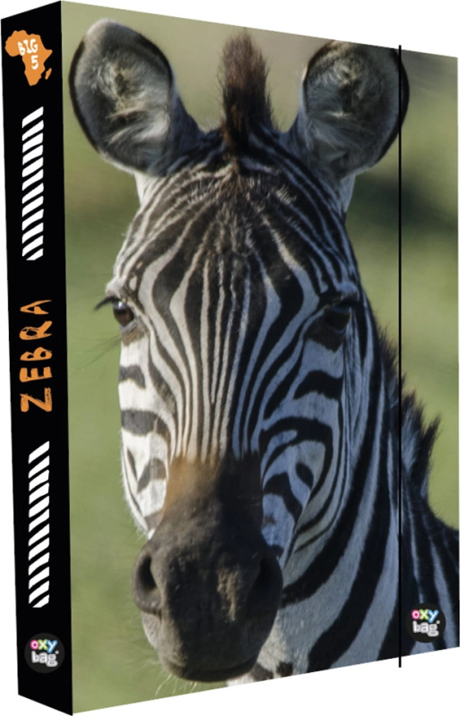 Karton P+P A4 Jumbo Zebra 8-76922