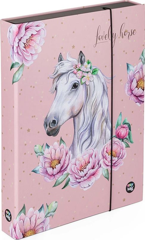 Box na sešity oxybag Kůň romantic A4 JUMBO