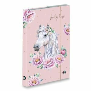 Box na sešity oxybag Kůň romantic A4 JUMBO
