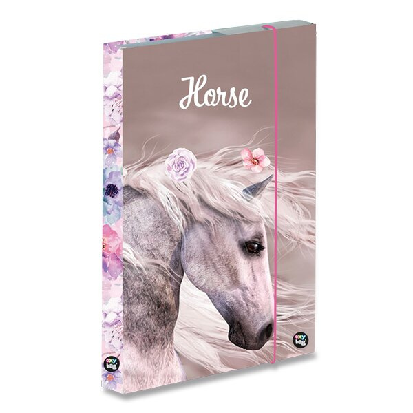 Box na sešity oxybag Kůň romantic A4 JUMBO