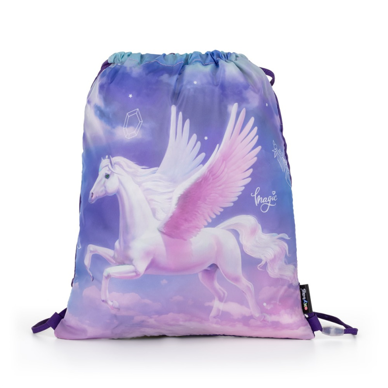 Karton P+P Pegas 8-50623