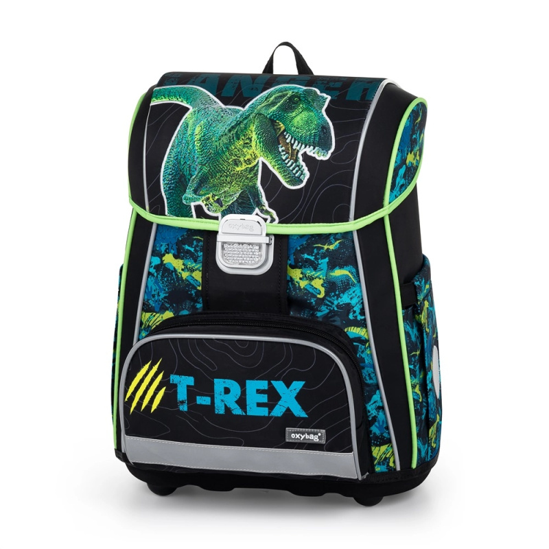 Karton P+P Premium Light Premium Dinosaurus