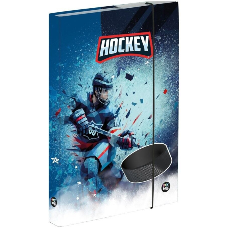 Box na sešity A4 s motivem hokeje