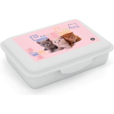Karton PP Box na svačinu s přihrádkou Mazlíčci
