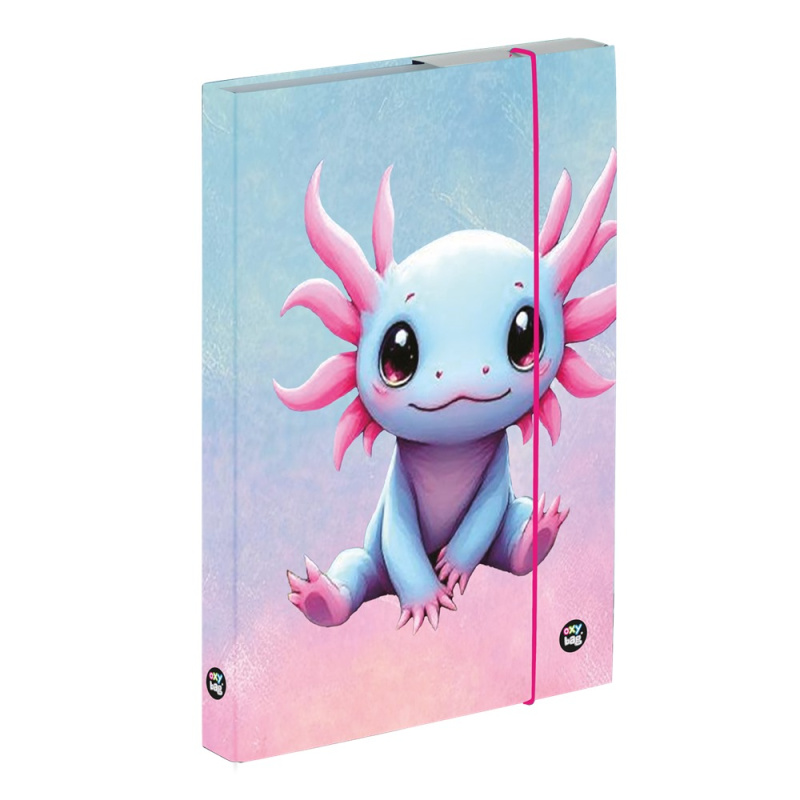 Box na sešity A5 Axolotl KARTONPP