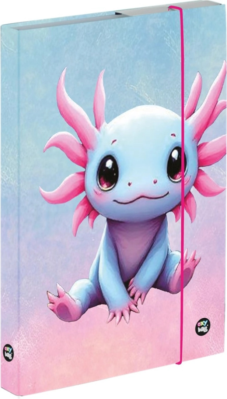 Box na sešity A5 Axolotl KARTONPP
