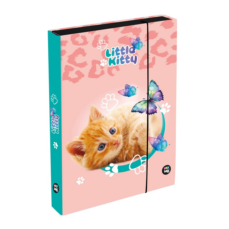 Box na sešity A4 Jumbo Kočka KARTONPP