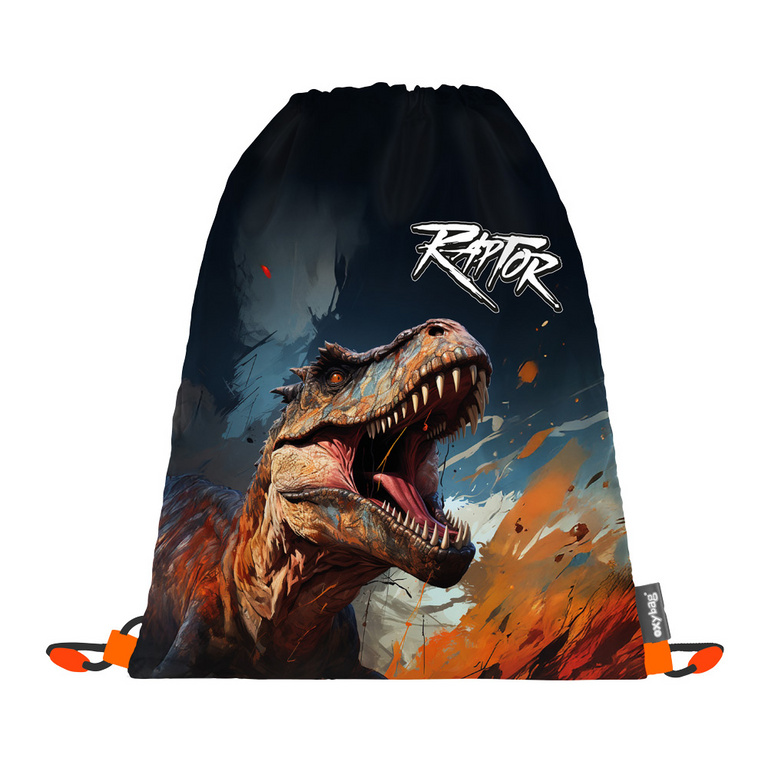 Sáček na cvičky Dino KARTONPP
