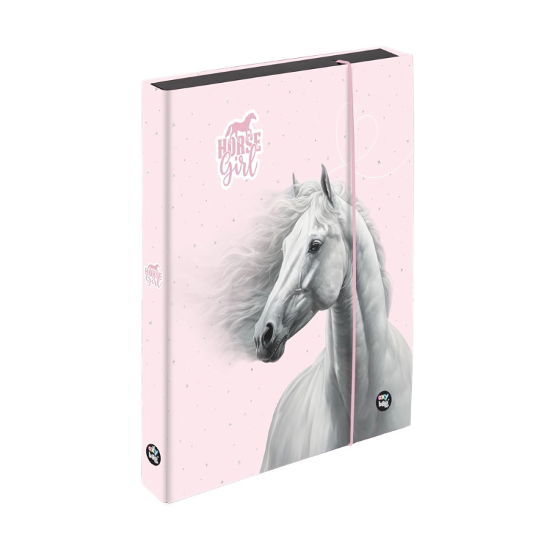 Box na sešity A5 Jumbo kůň romantic KARTONPP