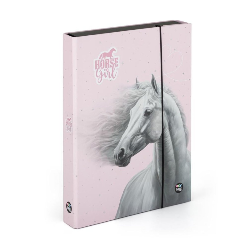 Box na sešity A4 Jumbo kůň romantic KARTONPP