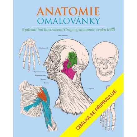 Anatomie omalovánky Euromedia Group, a.s.