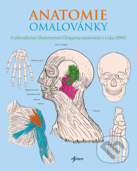 Anatomie omalovánky Euromedia Group, a.s.