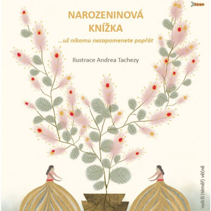 Narozeninová knížka - Pavla Köpplová, Andrea Tachezy (Ilustrátor)