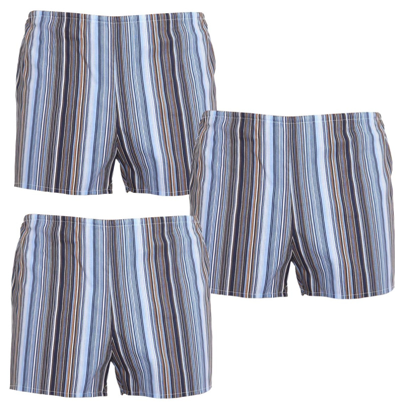 3PACK klasické pánské trenky Foltýn vícebarevné S, trenýrky
