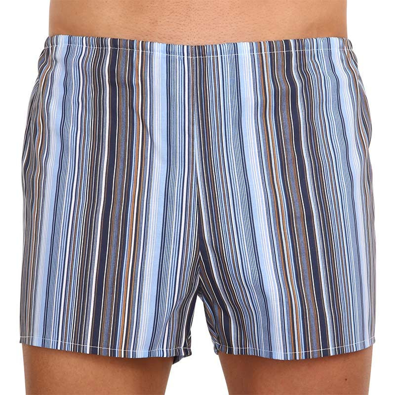 Klasické pánské trenky Foltýn modré s proužky nadrozměr (KN75) 5XL, trenýrky