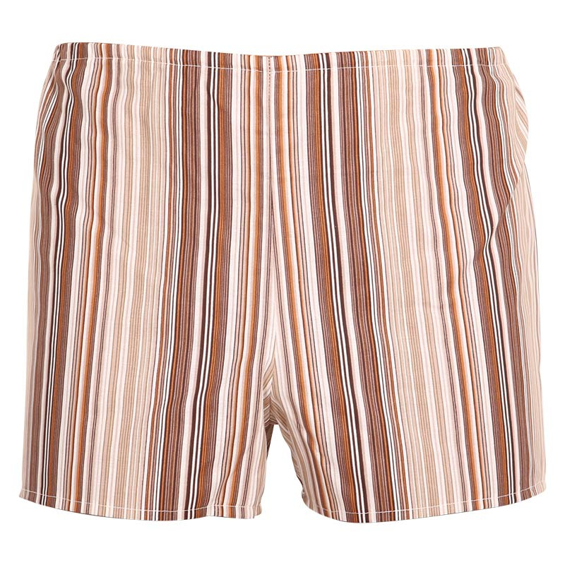 Klasické pánské trenky Foltýn hnědé s proužky (K53) XL, trenýrky