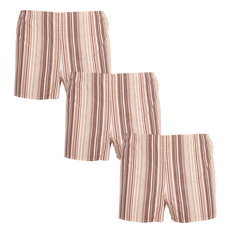 3PACK Klasické pánské trenky Foltýn hnědé s proužky (3xK53) S, trenýrky