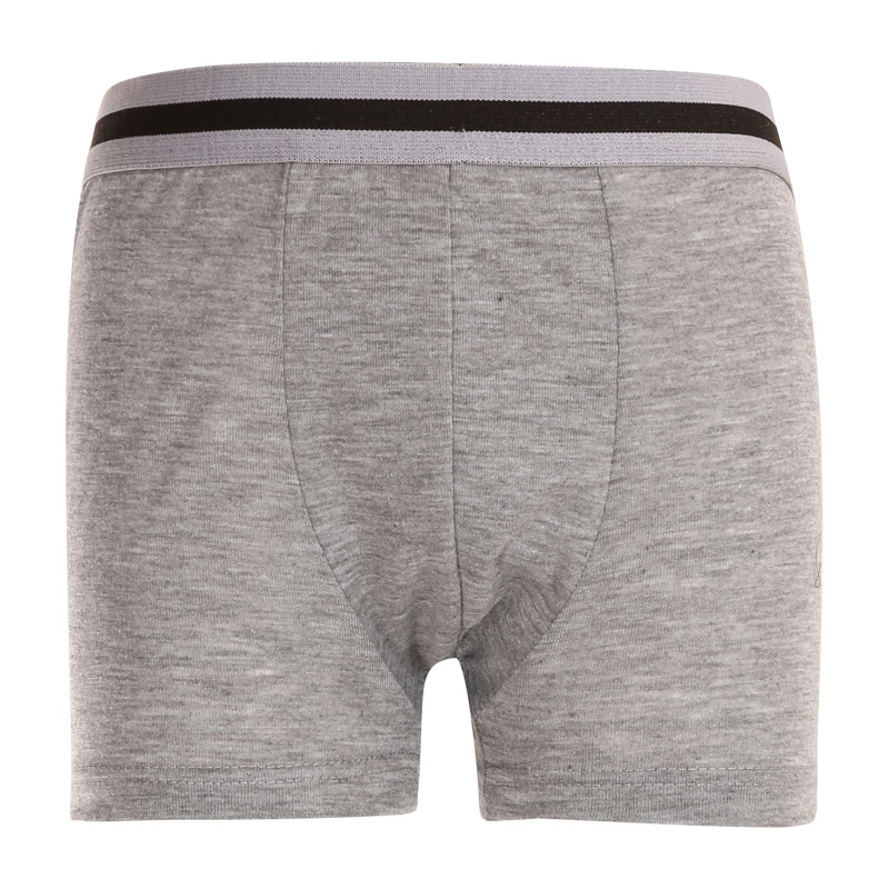 Dětské boxerky Gianvaglia šedé (023) 122, trenky / trenýrky