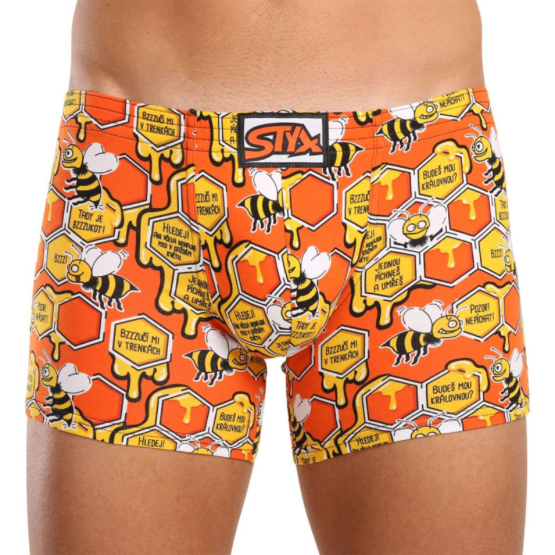 Pánské boxerky Styx long art klasická guma včelky (F1654) XL, trenky / trenýrky