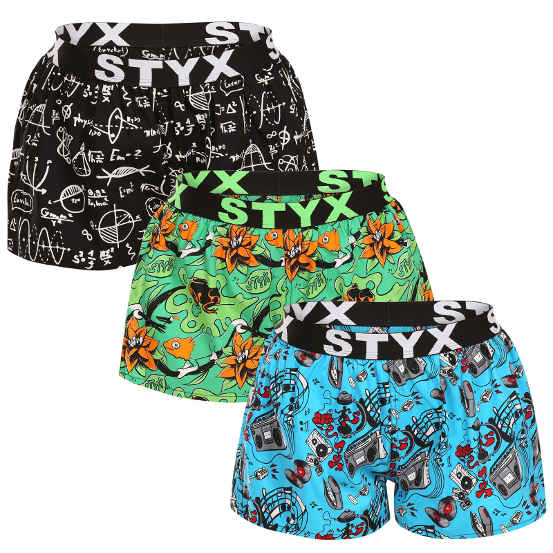 3PACK dámské trenky Styx art sportovní guma vícebarevné (3T15782) L, trenýrky