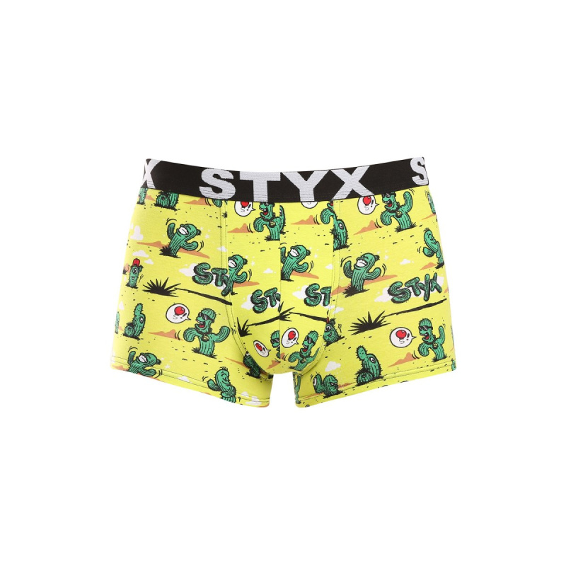 Pánské boxerky Styx art sportovní guma kaktusy (G1351) XXL, trenky / trenýrky
