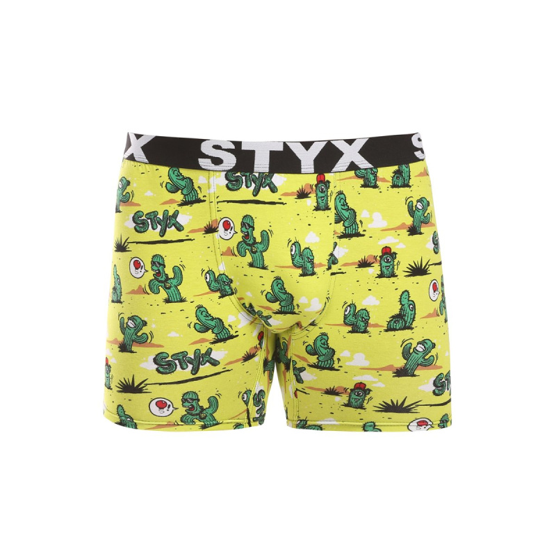 Pánské boxerky Styx long art sportovní guma kaktusy (UN1351) XXL, trenky / trenýrky