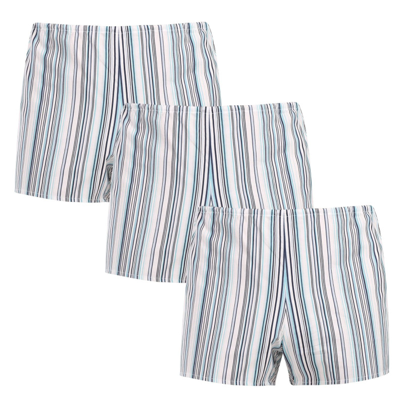 3PACK Klasické pánské trenky Foltýn světlé proužky nadrozměr (3xKN83) 4XL, trenýrky