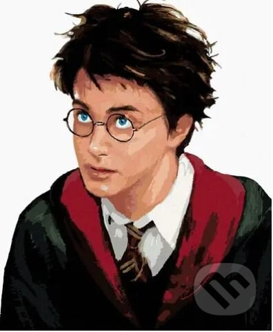 Malování podle čísel: Harry Potter - Harry portrét