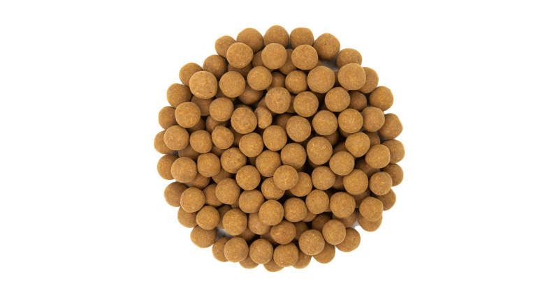 Čokokřupky rýžové se skořicí váha 3kg