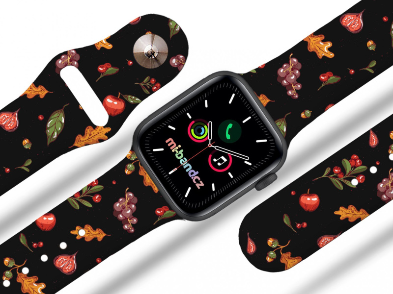 Mi-band Apple watch řemínek Podzimní nadílka Barva: Černá, Rozměr: 42/44/45/46/49mm