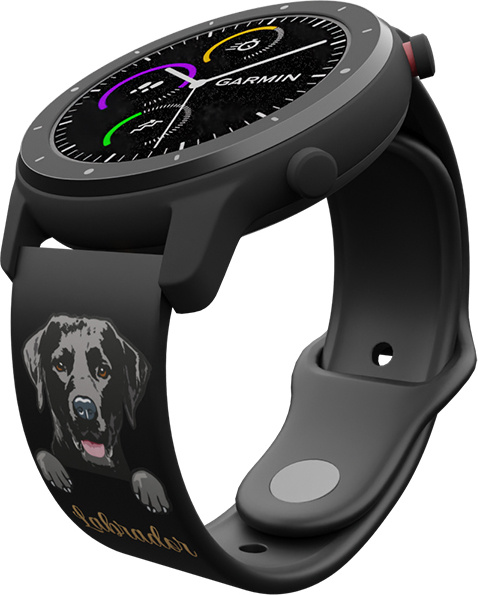 Strapido Labradorský retrívr řemínek 22 mm