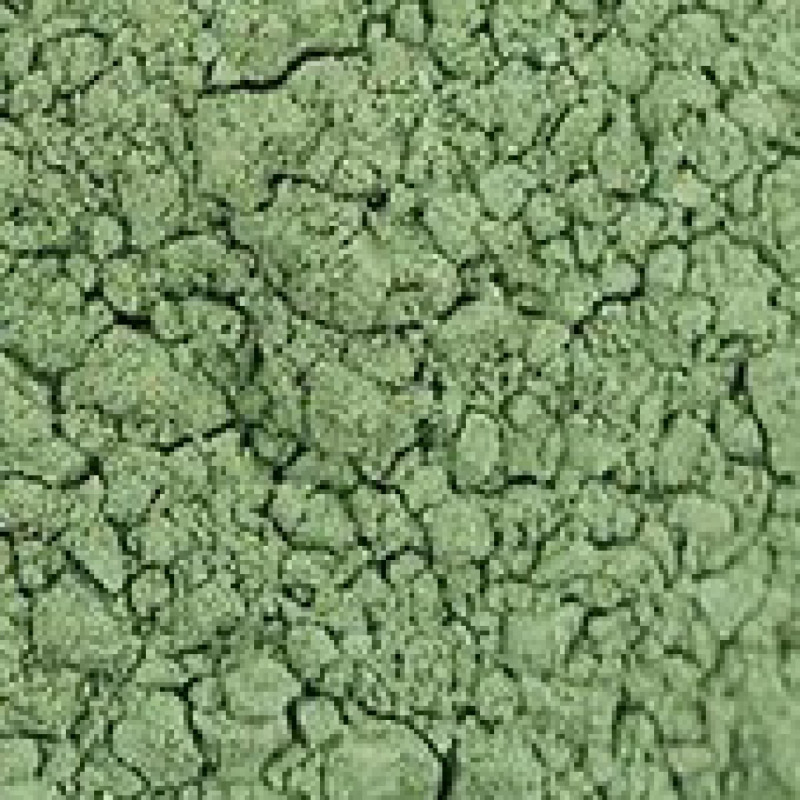 Pigment Zlatá loď 100g – 40810 Zem zelená česká pravá (PG23)