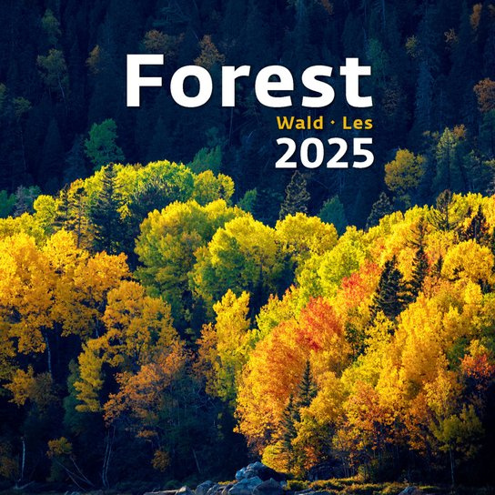 Forest / Wald / Les 2025 - nástěnný kalendář