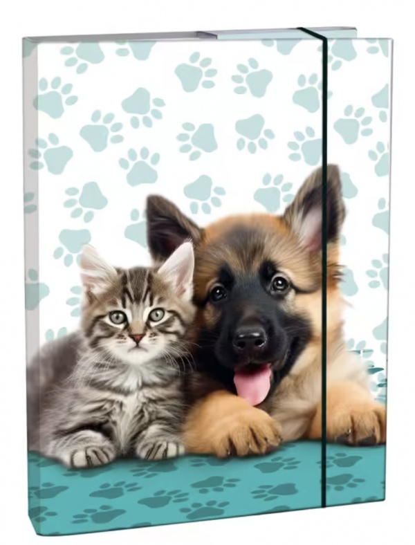 Box na sešity A4 - s gumou, Cute Friends