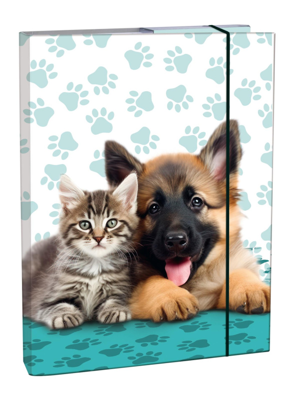 Box na sešity A4 - s gumou, Cute Friends