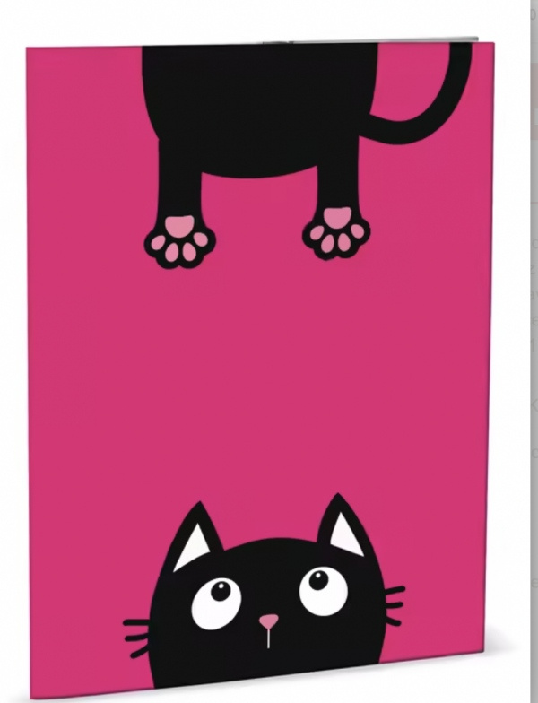 Desky na abecedu Crazy Kitten Helma 365