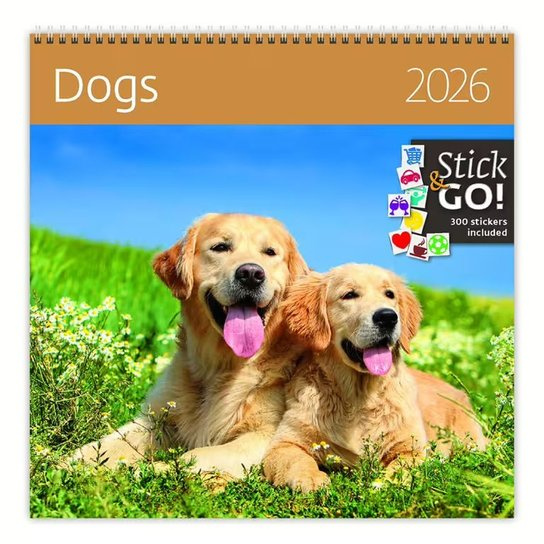Nástěnný kalendář Dogs 2026