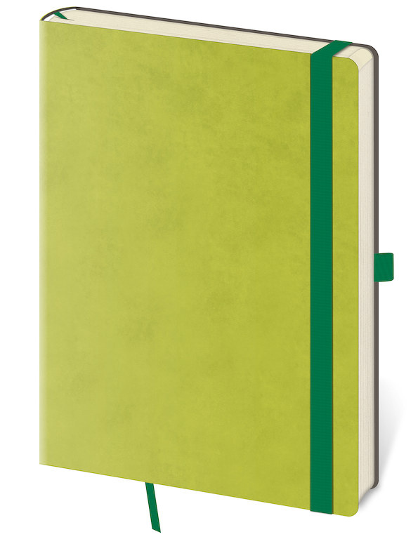 Linkovaný zápisník Flexies L Petrol Light Green Helma 365