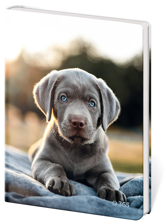 Památník A5 čistý - Pup