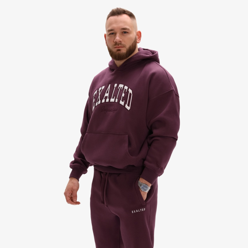 Pánská mikina exalted comfy-nest™ icon vínová 3xl