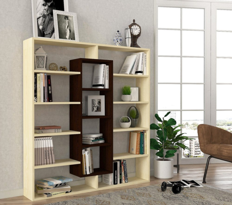 Knihovna Ample - Wenge, Birch