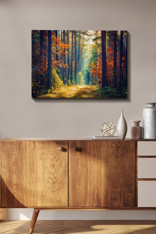 Dekorativní obraz na plátně Kanvas Tablo (50 x 70) - 274
