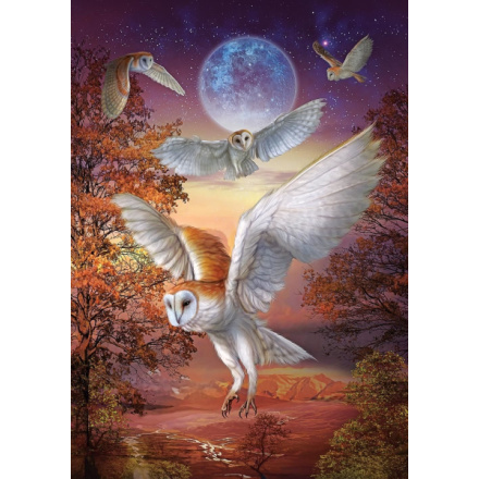 ART PUZZLE Puzzle Noční sovy 1000 dílků