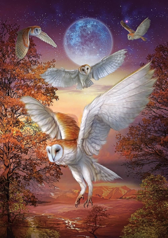 ART PUZZLE Puzzle Noční sovy 1000 dílků