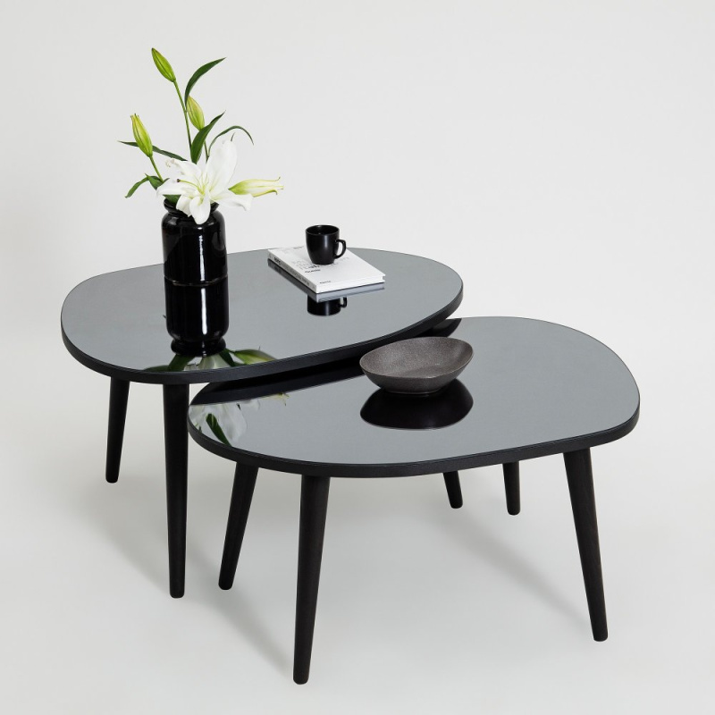 Sada odkládacích stolků (2 kusy) Gusto Set- Black, Fume