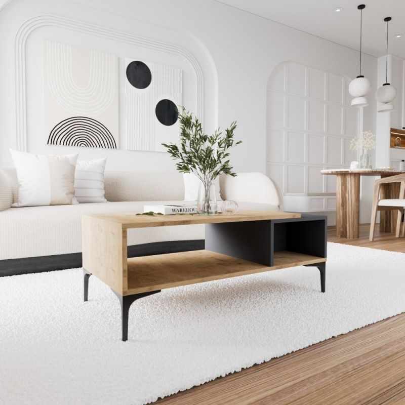 Konferenční stolek Tarz - Anthracite, Oak