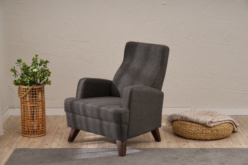 Křeslo / Jednomístná pohovka Aly - Anthracite