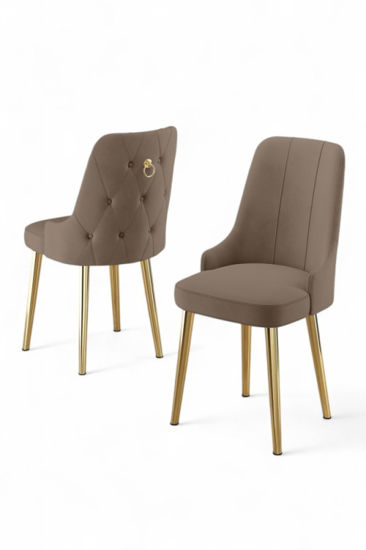 Sada židlí (2 kusy) Newa - Cappuccino, Gold